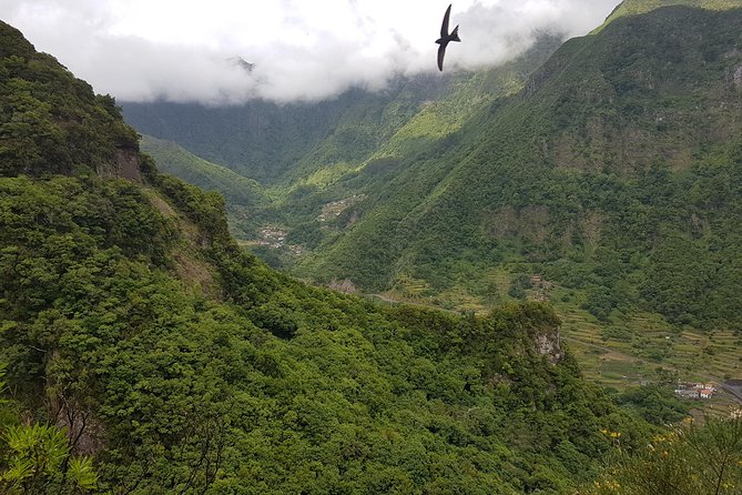 Madeira: Private Guided Levada dos Tornos Boaventura Hike - Pickup anywhere on Madeira: the practical convenience that counts
