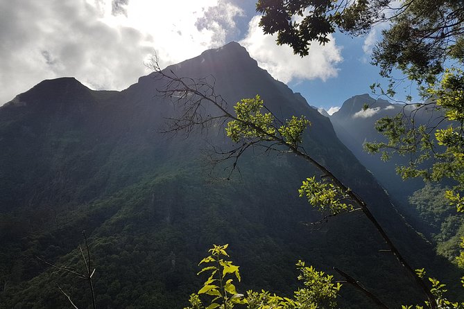 Madeira: Private Guided Levada dos Tornos Boaventura Hike - What is included, what is not, and what to pack