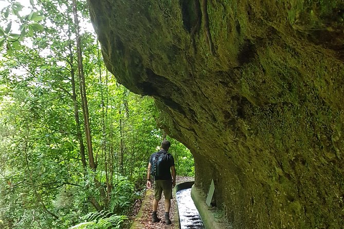 Madeira: Private Guided Levada dos Tornos Boaventura Hike - Price and value: is $126.98 worth it?