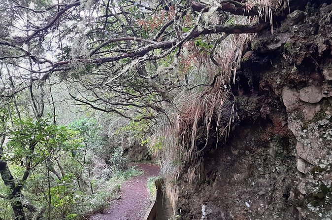 Madeira: Private Guided Tour to Ribeiro Frio and Chão das Feiteiras - The best kind of traveler for this private hike