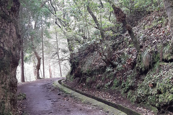 Madeira: Private Guided Tour to Ribeiro Frio and Chão das Feiteiras - Weather, timing, and why it matters here