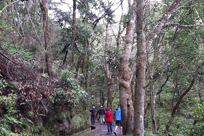Madeira: Private Guided Tour to Ribeiro Frio and Chão das Feiteiras - Should you book the Madeira Ribeiro Frio and Chão das Feiteiras tour?