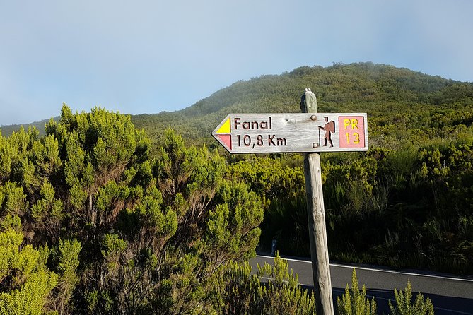 Madeira: Private Guided Walk Vereda Fanal PR13 - Key Points at a Glance