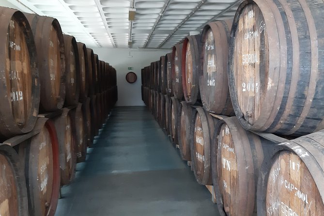 Madeira: Private Half-Day Wine Tasting Tour - Henriques & Henriques: Touring a Madeira Winery Since 1850