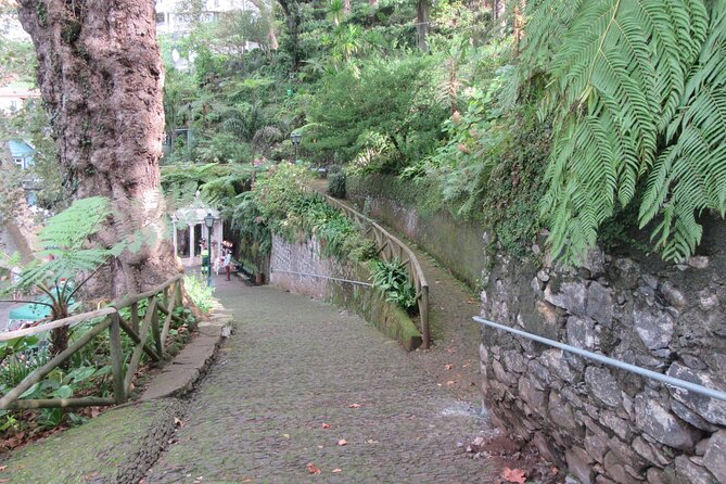 Madeira: Private Monte Tour By Cable Car with Transfer - Price and Value: Is $126.98 Worth It?