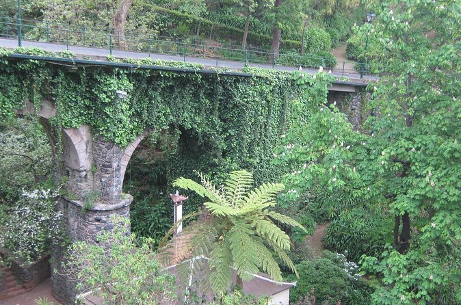 Madeira: Private Monte Tour By Cable Car with Transfer - Should You Book This Tour?