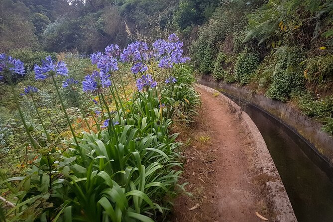 Madeira Private Tour of Hortensias Gardens Tea House - Price and Value: Is $66.54 Fair for This Tour?