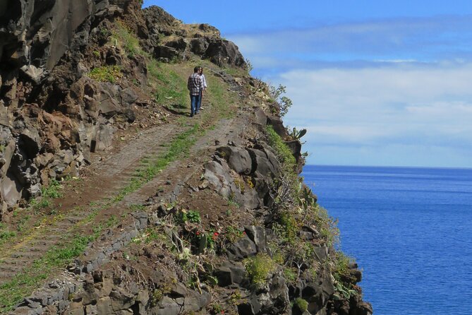 Madeira's Majestic South Coastal Wonders - Paul da Serra Area: Pico Ruivo Viewpoint and Levada Stops