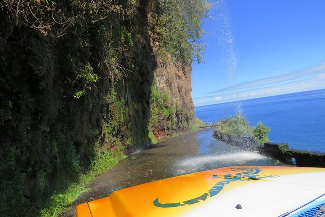 Madeira's Majestic South Coastal Wonders - Ponta do Pargo: Lighthouse Cliffs That Make the Day Worth It