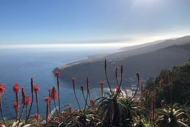 Madeira Safari - East of the island - How the Timing Really Feels Across 7 Hours