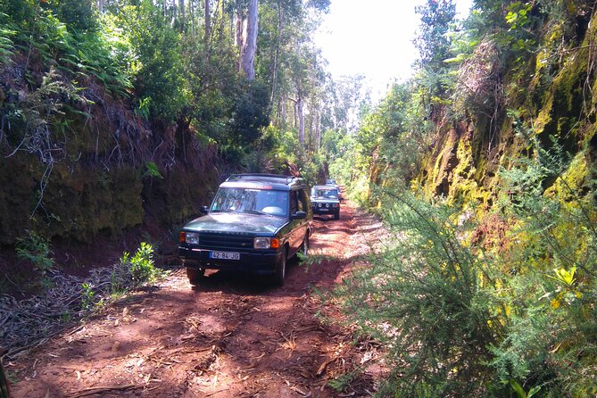 Madeira Safari - East of the island - Ribeiro Frio: Where the Island Feels Practical and Alive
