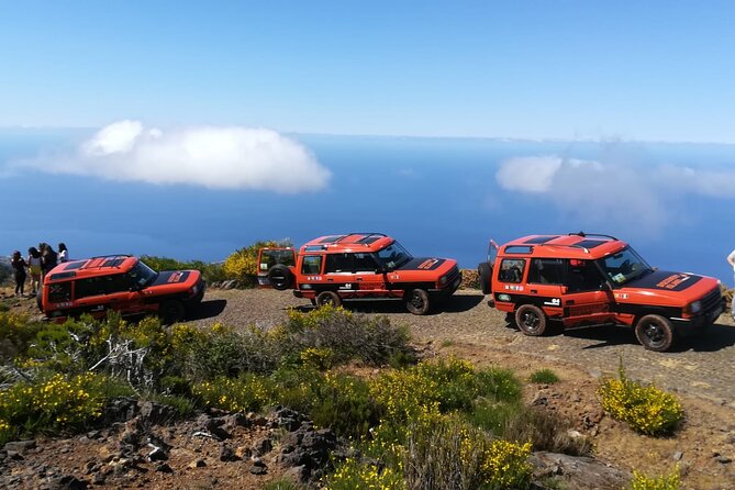 Madeira Safari - West Of The Island - Netties Bar and Poncha, Plus the Reality of Meal Details