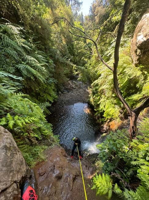 Madeira Short Canyoning For Beginners Rochão Level 1 - Key Things You’ll Remember From Rochão Level 1