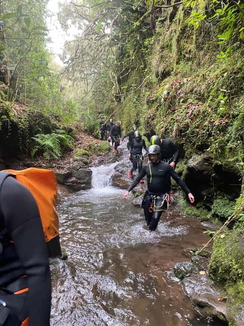 Madeira Short Canyoning For Beginners Rochão Level 1 - What You’ll Do on the 3-Hour Caminho do Rochão Section