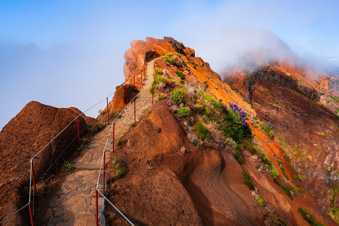 Madeira Stairway to Heaven to Larano Hike Mountain to Sea - 5 Highlights That Make This Madeira Hike Feel Worth It