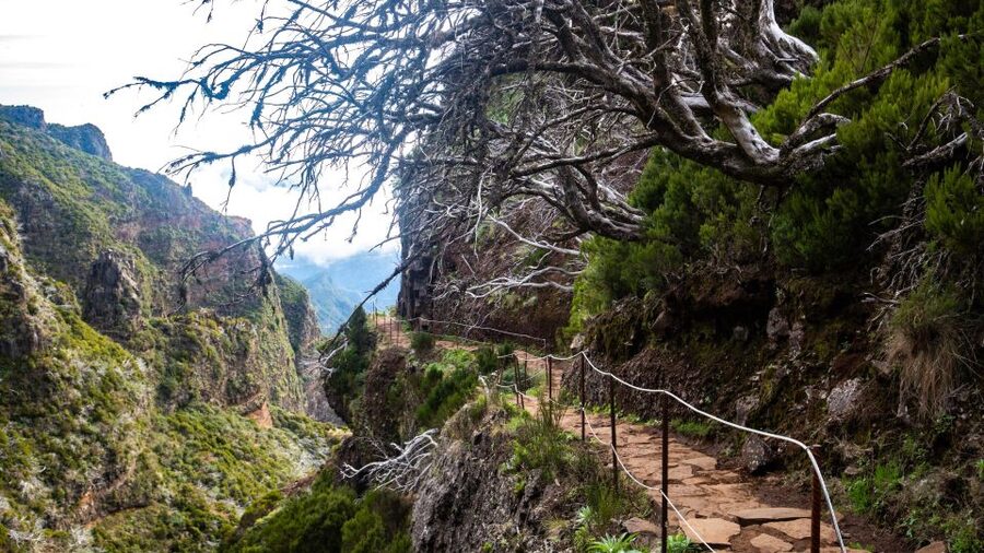 Madeira Stairway to Heaven to Larano Hike Mountain to Sea - Porto da Cruz, Spirits Time, and How Poncha Fits In