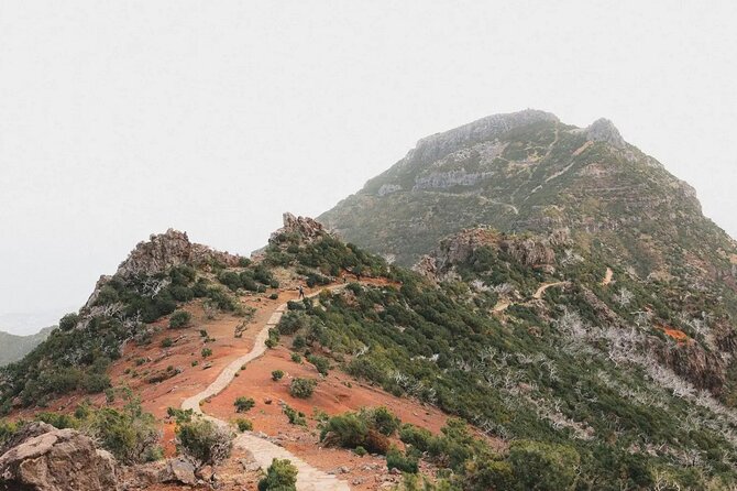 Madeira: Sunrise at Pico do Arieiro & Hike Larano trail - Who should book this sunrise plus Larano hike, and who should not