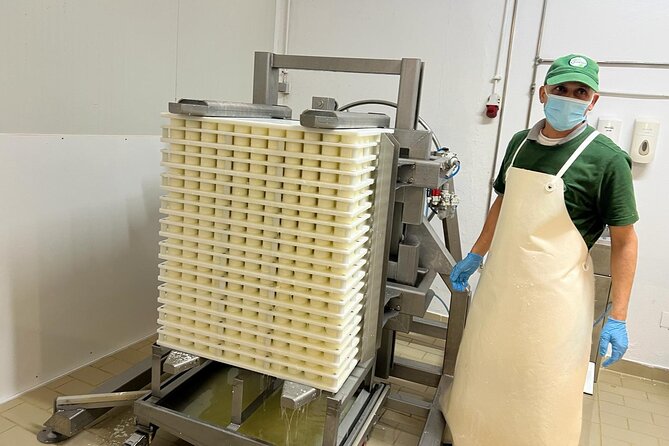 Madeira Sweet Rituals: curd cheese, queijadas and herbal tea - Should You Book Madeira Sweet Rituals?