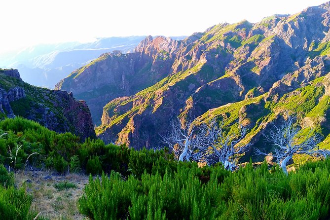 Madeira Top Sunrise - Hike Up to Ruivo Peak: The 2.5 km You’ll Remember