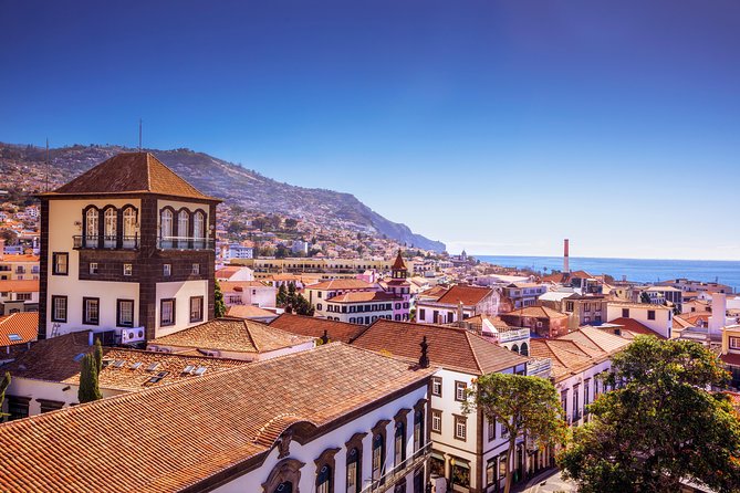 Madeira West Island Full Day Small-Group Tour from Funchal - Câmara de Lobos: a fishing village break with real local color