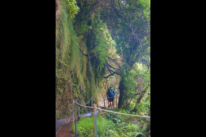 Madeira: Wet your hair in the amazing Levada Nova / Moinhos - Walking the Moinhos Levada: water channels, waterfalls, and those old stone bridges