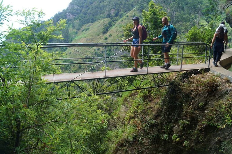 Madeira: Wet your hair in the amazing Levada Nova / Moinhos - Getting there: pickup zones, the café stop, and your first bearings