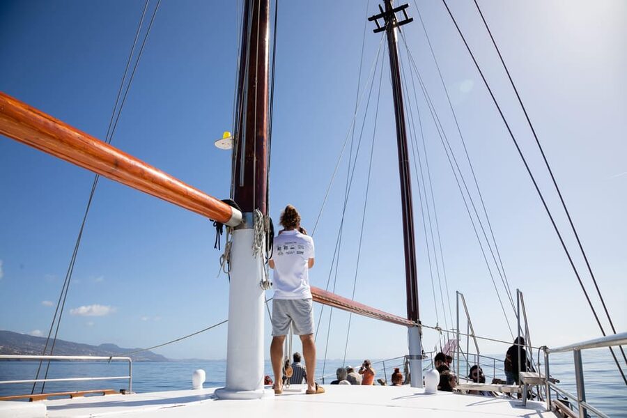 Madeira : Whales and Dolphins wooden boat excursion - Madeira wine welcome: A small detail that sets the mood