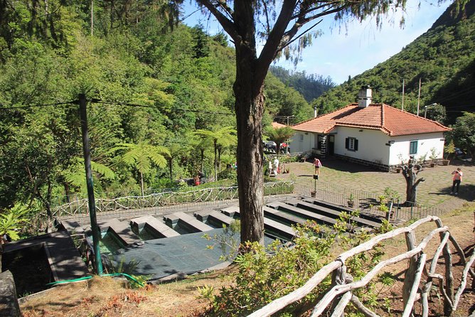 Magnificent East Tour - Ribeiro Frio: Forest Air, Trout Farm Nearby, and Easy Nature Viewing