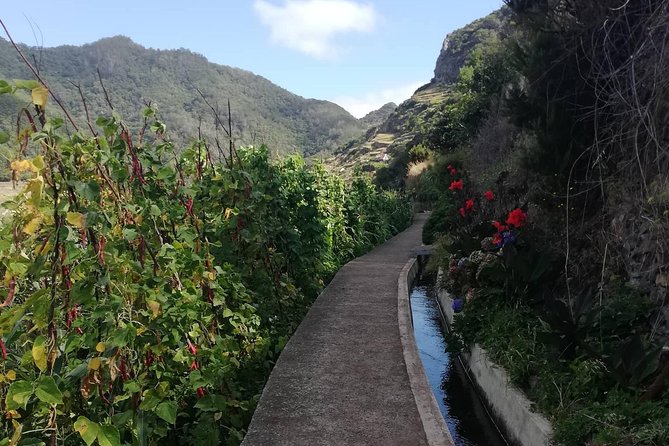 Maroços - Mimosa Valley - Timing on the trail: how the route flows in a 2-hour window