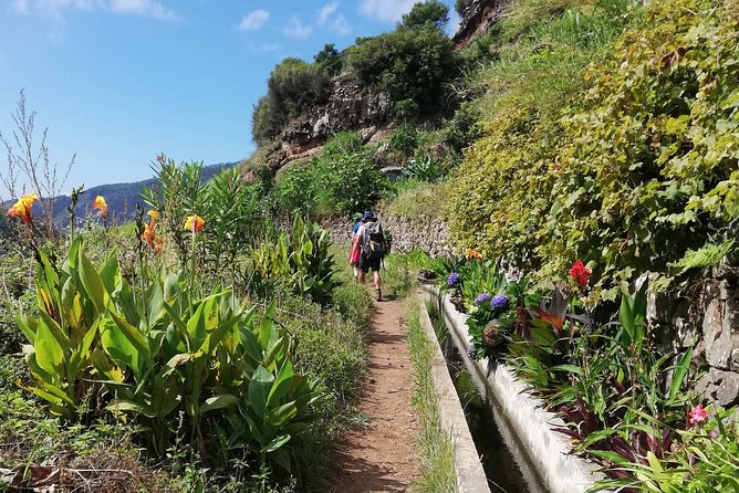 Maroços - Mimosa Valley - Quick hits before you go