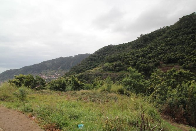 Maroços - Vale das Mimosas (Half Day Walk) - Key Highlights You’ll Actually Feel