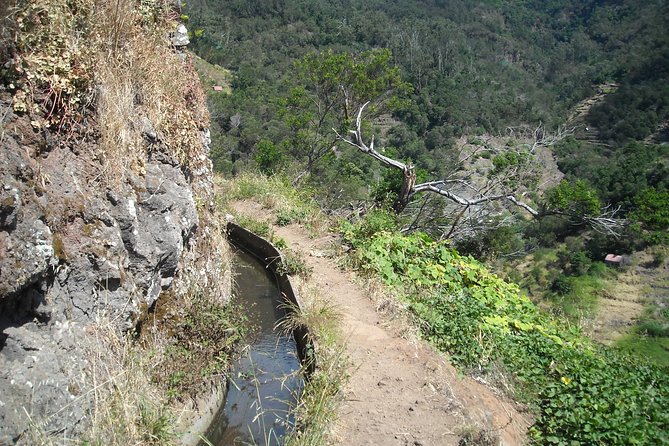 Maroços - Vale das Mimosas (Half Day Walk) - Maroços and the Mimosa Valley: A Walk That Fits Real Travel Days