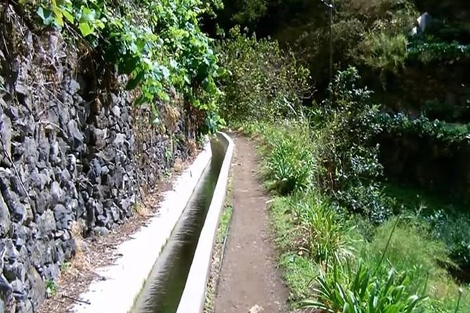 Mimosa Valley Walk - Why I Think This Walk Is Worth Your Morning