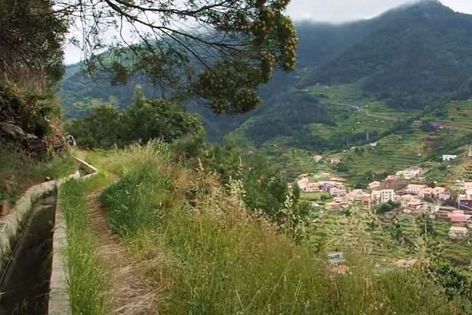 Mimosa Valley Walk - Quick hits before you go