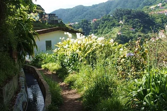 Mimosa Valley Walk - Pickup and Drop-Off From Funchal, Câmara de Lobos, and Caniço