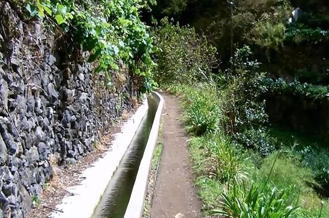 Mimosa Valley Walk - Following the Levada: How the Water System Shapes Life