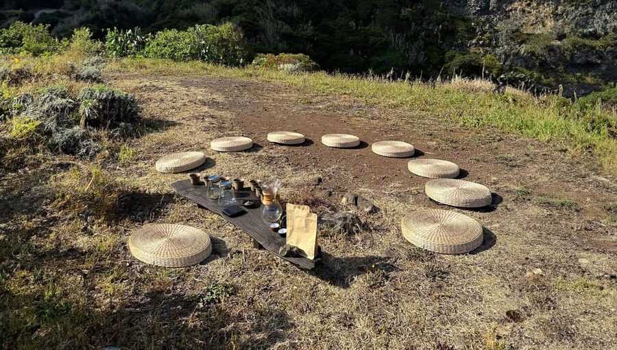 Mindful Tea Ceremony in Hidden Nature of Madeira - Who should book this tea ceremony, and who might not