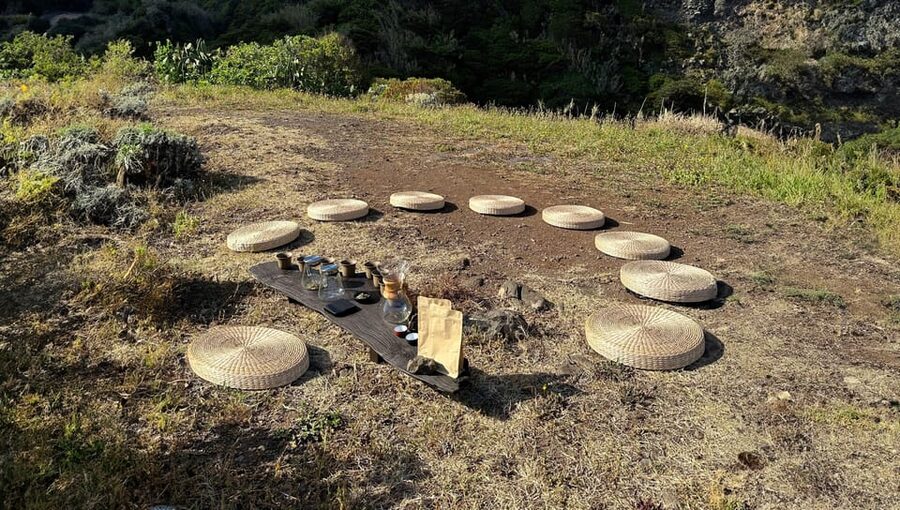 Mindful Tea Ceremony in Hidden Nature of Madeira - Tasting for feelings, not just flavors