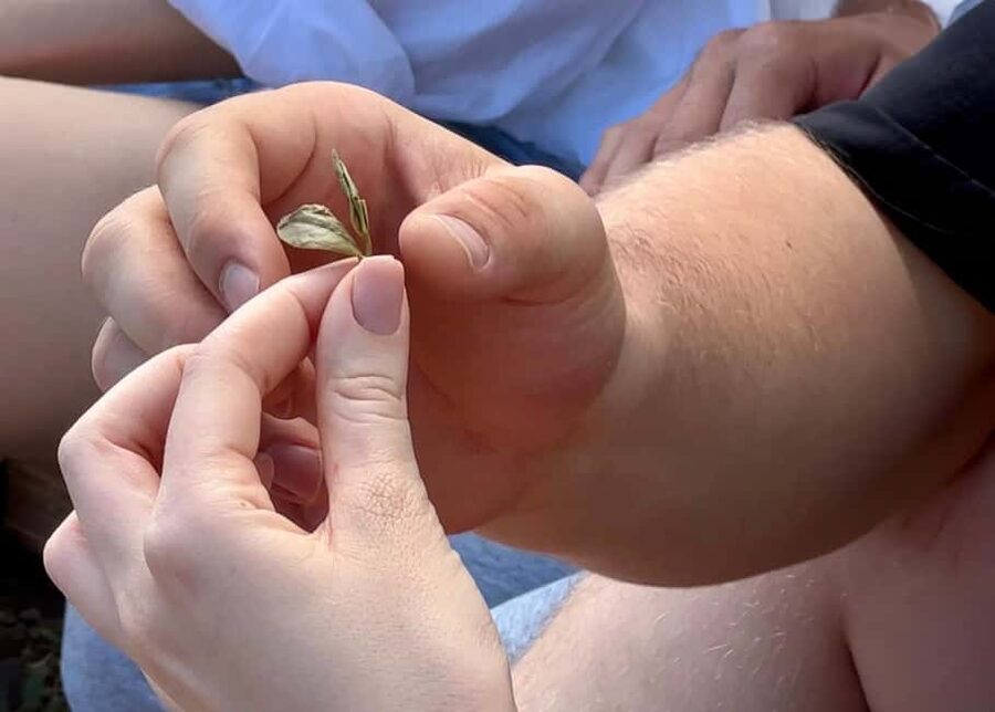 Mindful Tea Ceremony in Hidden Nature of Madeira - Price and value: is $35 worth it?
