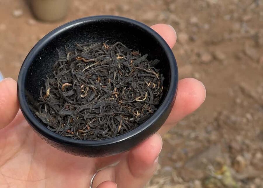 Mindful Tea Ceremony in Hidden Nature of Madeira - What to bring for comfort in Madeira nature