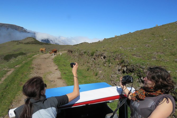 Northeast 4x4 Santana and Landscapes Day Trip - Practical tips so your day goes smoothly