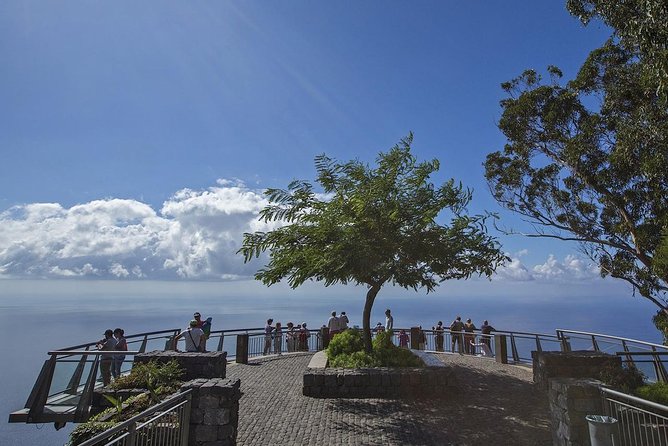 Nun's Valley & Sea Cliff - Half Day - Shared Tour - Madeiran viticulture stop: what you are learning while you look