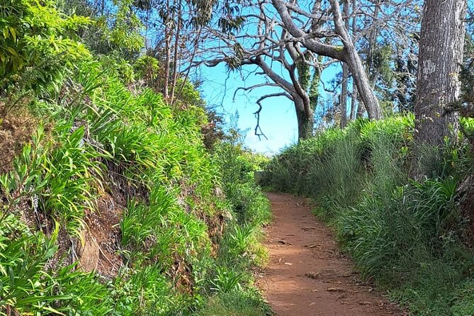 On the Rhythm of a Levada Walk: Madeira cider tasting and lunch - Why the 9:00 am Start and Pickup Plan Makes This Tour Easier