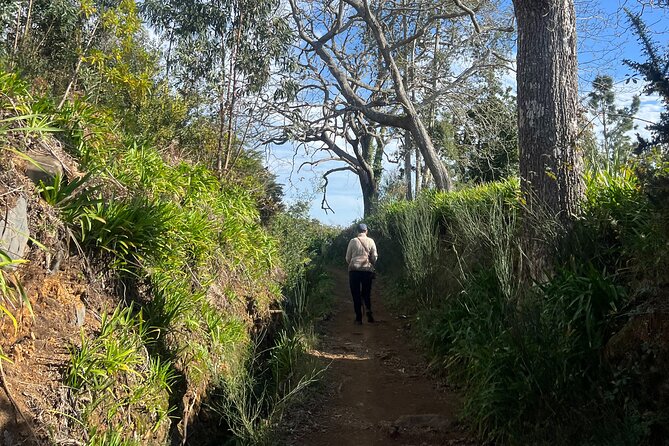 On the Rhythm of a Levada Walk: Madeira cider tasting and lunch - The Levada da Serra do Faial Walk: A Gentle Hour Along Irrigation Channels