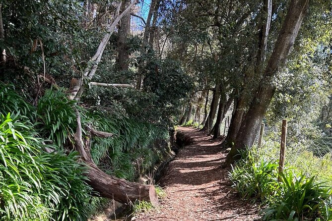 On the Rhythm of a Levada Walk: Madeira cider tasting and lunch - Guide Ana Makes the Difference Between Seeing and Understanding