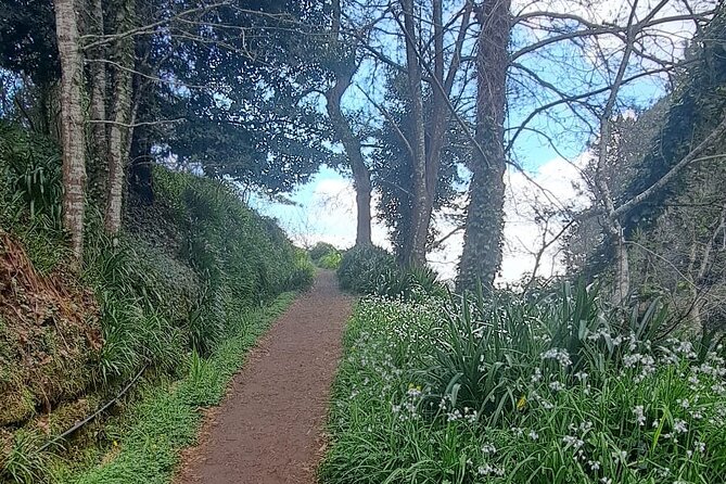On the Rhythm of a Levada Walk: Madeira cider tasting and lunch - Price and Value: What $162.14 Buys You in Real Terms