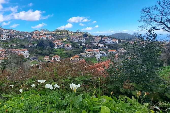 On the Rhythm of a Levada Walk: Madeira cider tasting and lunch - What to Wear and How to Prep for a Weather-Dependent Day