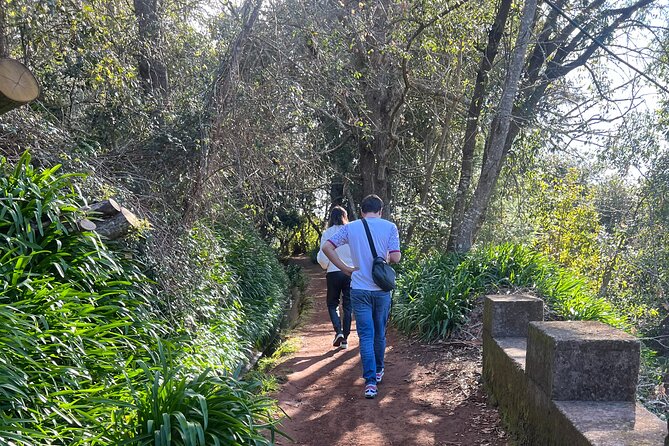 On the Rhythm of a Levada Walk: Madeira cider tasting and lunch - Who This Tour Is Best For (and Who Might Prefer a Different Style)