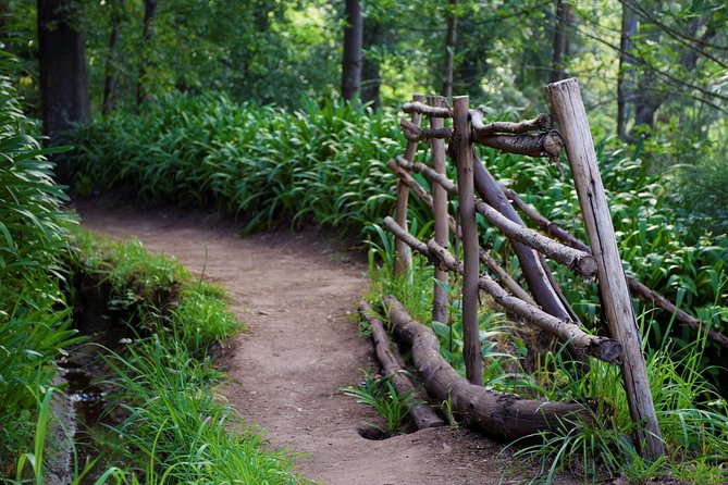 Paradise Valley Beauty Walk - Key things that make this walk worth your time
