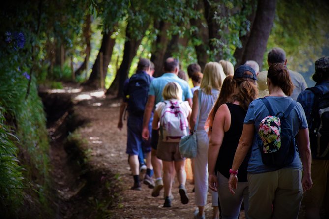 Paradise Valley Beauty Walk - Pickup, mobile ticket, and how to plan around 8:30 am